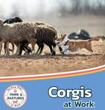 Corgis at Work