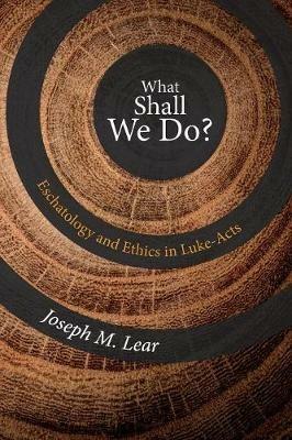 What Shall We Do? - Joseph M Lear - cover