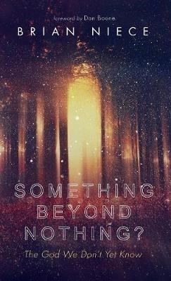 Something Beyond Nothing?: The God We Don't Yet Know - Brian Niece - cover