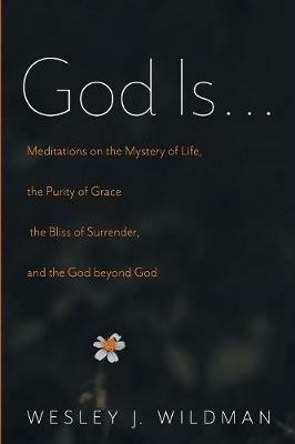 God Is . . . - Wesley J Wildman - cover