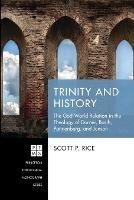 Trinity and History - Scott P Rice - cover