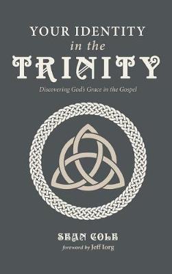 Your Identity in the Trinity: Discovering God's Grace in the Gospel - Sean Cole - cover