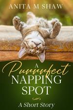 A Purrrfect Napping Spot