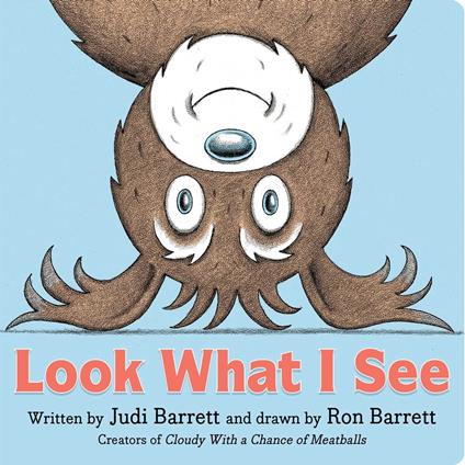 Look What I See - Judi Barrett,Ron Barrett - ebook