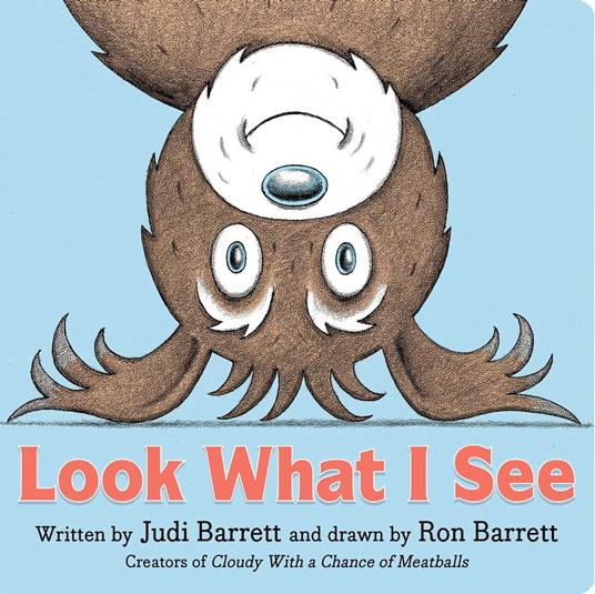 Look What I See - Judi Barrett,Ron Barrett - ebook