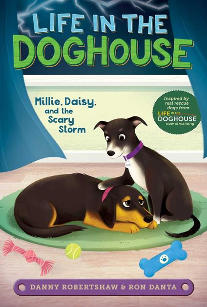 Millie, Daisy, and the Scary Storm - Ron Danta,Danny Robertshaw,Crystal Velasquez,Laura Catrinella - ebook