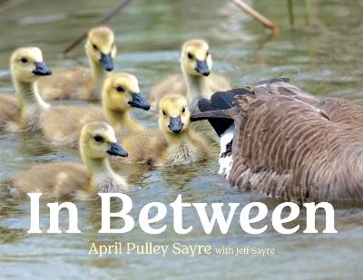 In Between - April Pulley Sayre - cover