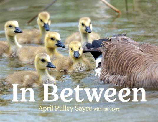 In Between - April Pulley Sayre - ebook