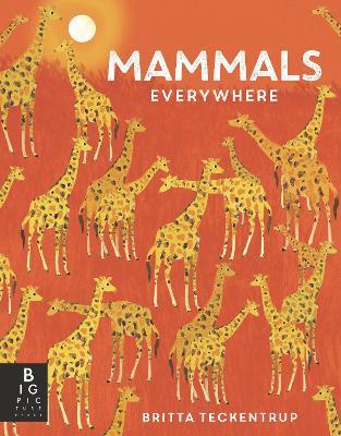 Mammals Everywhere - Camilla de la Bedoyere - cover