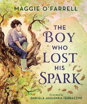 The Boy Who Lost His Spark - Maggie O'Farrell - cover