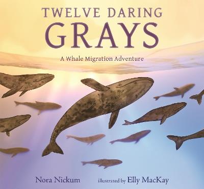 Twelve Daring Grays: A Whale Migration Adventure - Nora Nickum - cover