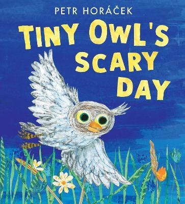 Tiny Owl's Scary Day - Petr Horácek - cover