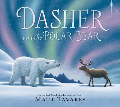 Dasher and the Polar Bear - Matt Tavares - cover