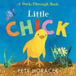 Little Chick: (Ideal for Easter baskets)