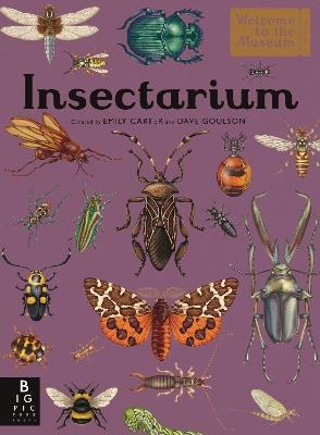 Insectarium: Welcome to the Museum - Dave Goulson - cover