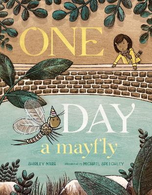 One Day a Mayfly - Shirley Marr - cover