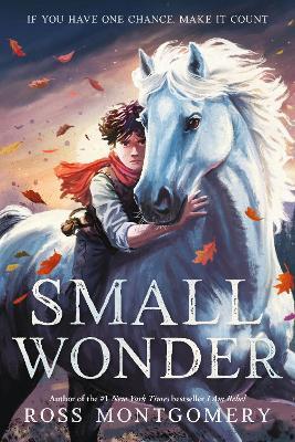 Small Wonder - Ross Montgomery - cover