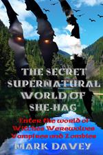 The Secret Supernatural World of She-Hag