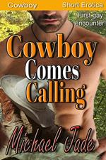 Cowboy Comes Calling