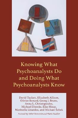 Knowing What Psychoanalysts Do and Doing What Psychoanalysts Know - David Tuckett,Elizabeth Allison,Olivier Bonard - cover