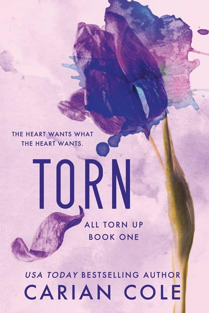 Torn - Carian Cole - ebook