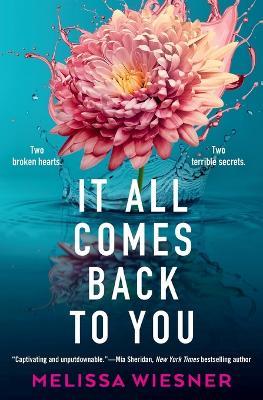 It All Comes Back to You - Melissa Wiesner - cover