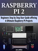 Raspberry Pi 2: Beginners Step by Step User Guide offering 6 Ultimate Raspberry Pi Projects