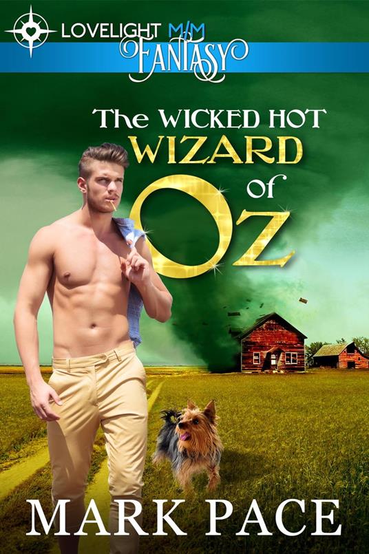 The Wicked Hot Wizard of Oz