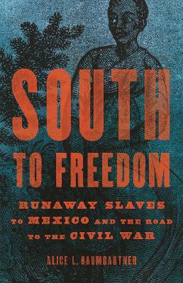 South to Freedom: Runaway Slaves to Mexico and the Road to the Civil War - Alice L. Baumgartner - cover