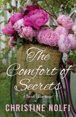 The Comfort of Secrets - Christine Nolfi - cover