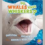 Do Whales Have Whiskers?