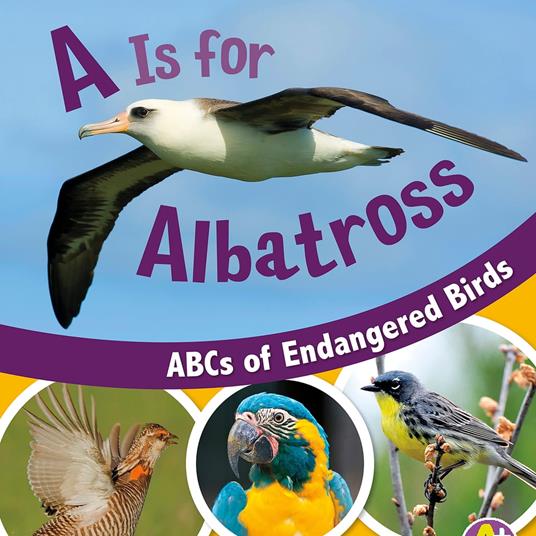 Is for Albatross, A