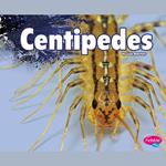 Centipedes
