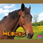 Horses
