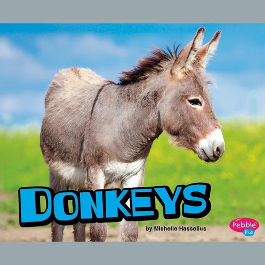 Donkeys