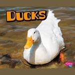 Ducks