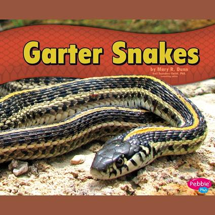 Garter Snakes