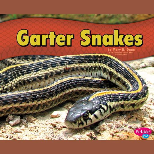 Garter Snakes