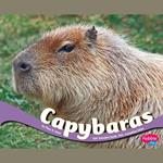 Capybaras
