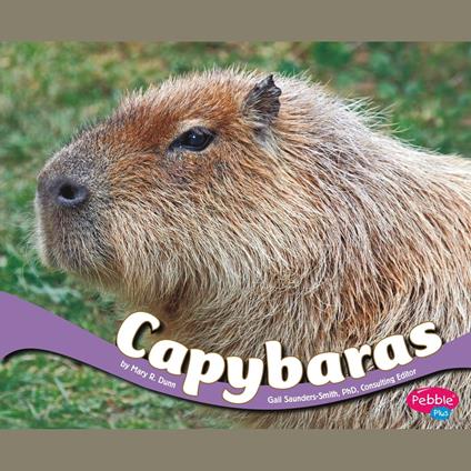 Capybaras - R. Dunn, Mary - Audiolibro in inglese