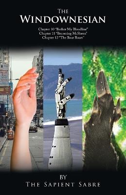 The Windownesian: Ch 10-12 - The Sapient Sabre - cover