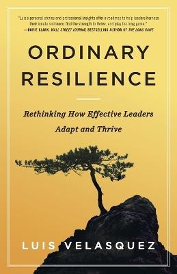 Ordinary Resilience: Rethinking How Effective Leaders Adapt and Thrive - Luis Velasquez - cover