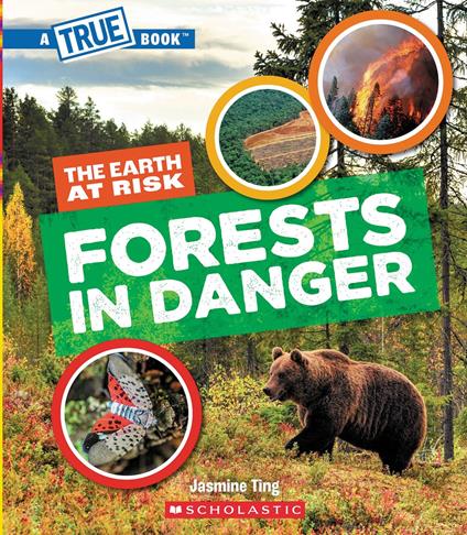 Forests in Danger (A True Book: The Earth at Risk) - Jasmine Ting - ebook
