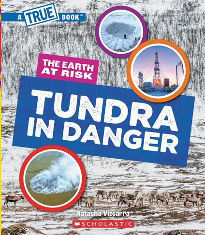 Tundra in Danger (A True Book: The Earth at Risk) - Natasha Vizcarra - ebook