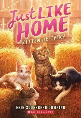 Kitten Delivery (Just Like Home, Book Two) - Erin Soderberg Downing - cover
