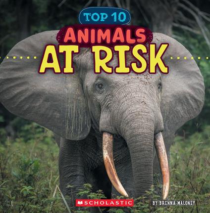 Animals at Risk (Wild World: Top 10) - Brenna Maloney - ebook