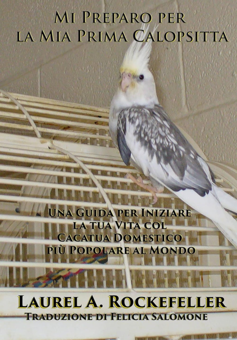 ibs