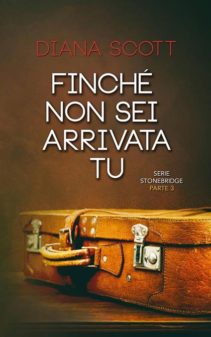 Finché non sei arrivata tu - Diana Scott - ebook