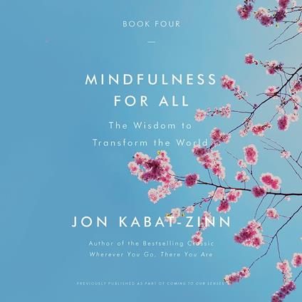 Mindfulness for All