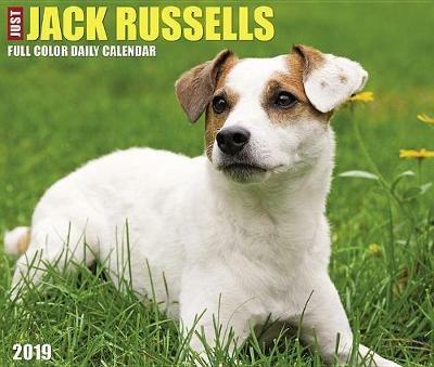 Just Jack Russells 2019 Box Calendar (Dog Breed Calendar) - Willow Creek Press - cover